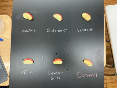Six apple slices laid out on a chalkboard in a browning experiment, each labelled in chalk with what it was treated with: water, salt water, vinegar, milk, lemon juice and a control
