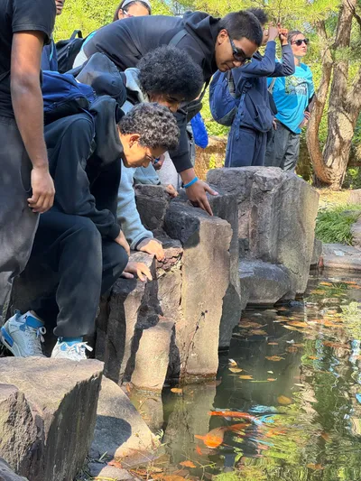 Students sitting on rocks beside a pond on a park trip, watching goldfish in the water below