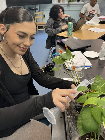 A student smiling as she waters a potted bean seedling with a large plastic syringe, classmates working at laptops around the classroom behind her